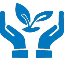 environment_transparent